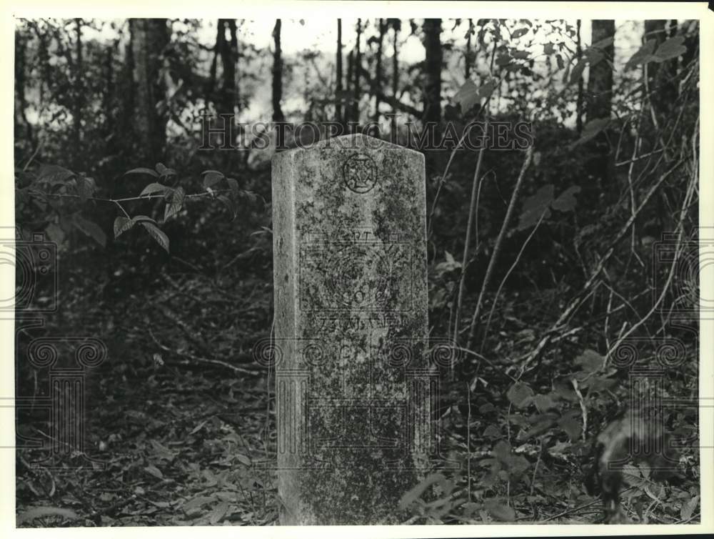 Press Photo The gravesite of Bob Sims, Gilbertown, Alabama - amra09987