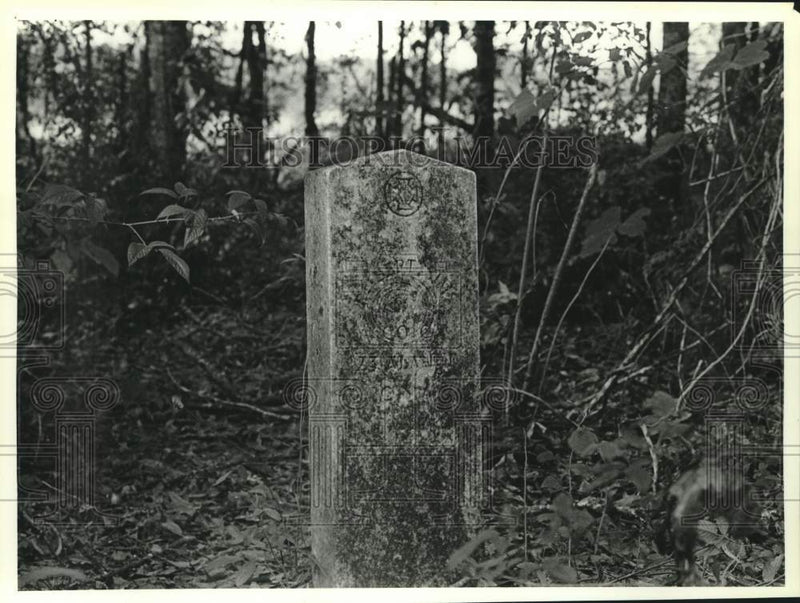 Load image into Gallery viewer, Press Photo The gravesite of Bob Sims, Gilbertown, Alabama - amra09987
