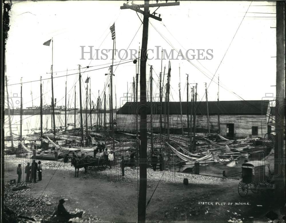 Press Photo Oyster Fleet of Mobile, Alabama, Horse and Carriage at Harbor- Historic Images