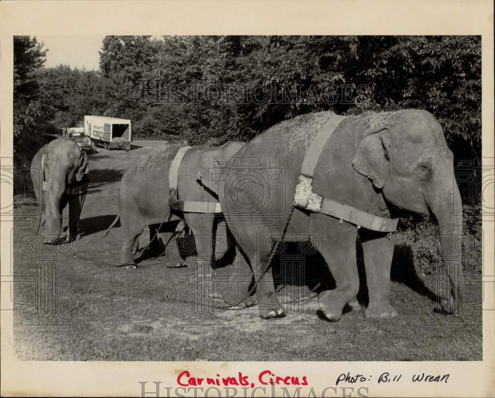 Press Photo Elephants at Circus - ctaa22357- Historic Images