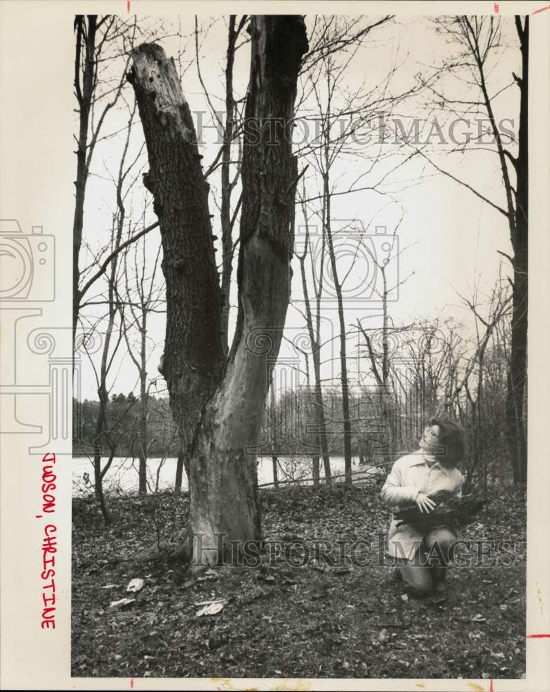 1983 Press Photo Christine Judson collects wood around Willow Tree in Norwalk- Historic Images