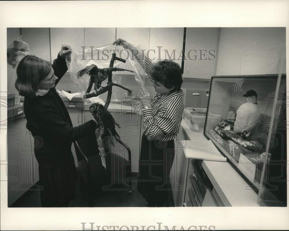 Press Photo Lisett Henrey &amp; Marianne Smith unwrap plastic from Peregine Falcons- Historic Images