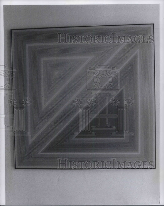 1971 Press Photo Rose Colored by Richard Cenusz Kiewicz - Historic Images