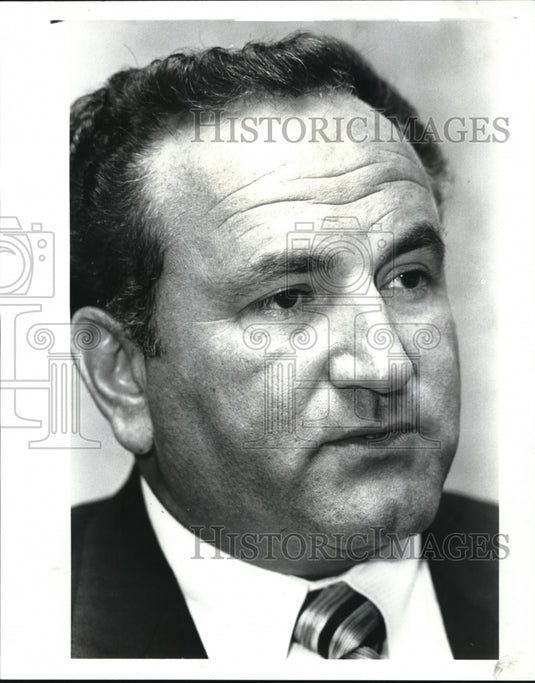 1987 Press Photo - Historic Images