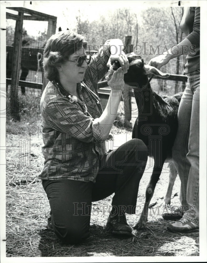 1982 Press Photo Dr. Elisabeth Giedt examining a sick goat- Historic Images