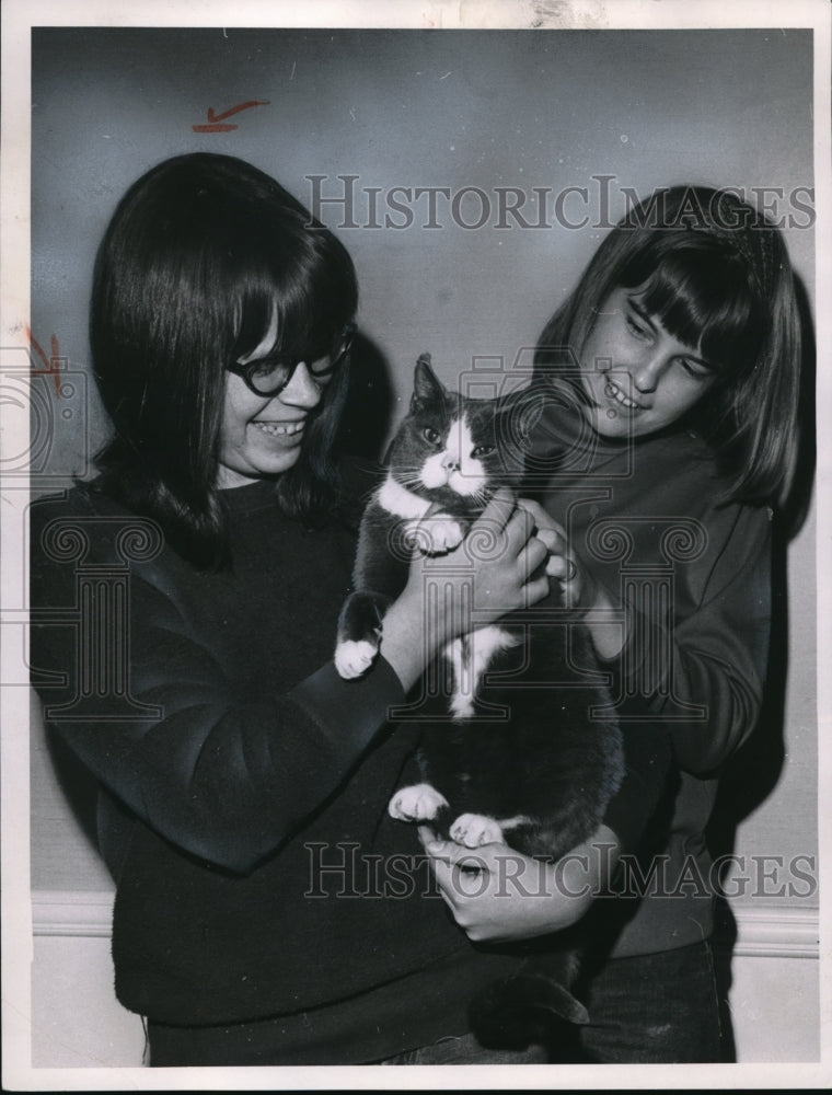 1966 Press Photo Kitty Tom, the 6 year old pet tomcat of Dr. Harold L. Enarson f- Historic Images