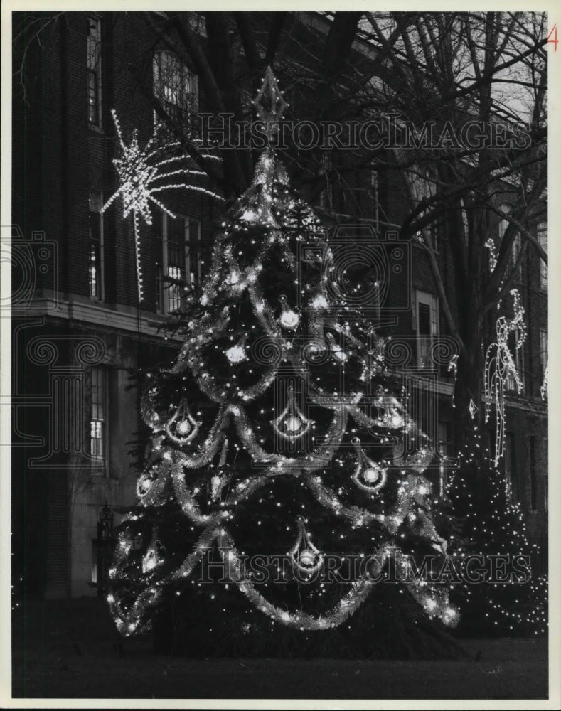 1981 Press Photo Christmas Tree at Washingto lighted by General Electric- Historic Images