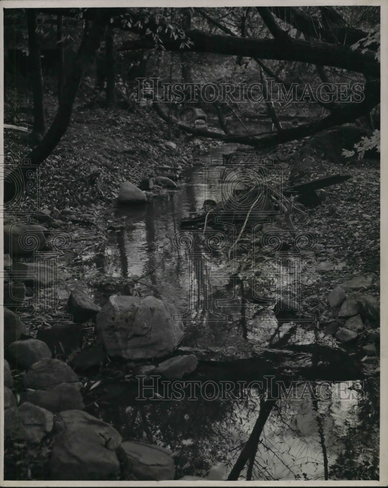 1948 Press Photo Cahoun Creek Carrying Pollution to Bay Village - cva22984- Historic Images