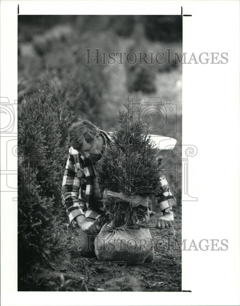 1991 Press Photo Bill Tieman- Historic Images