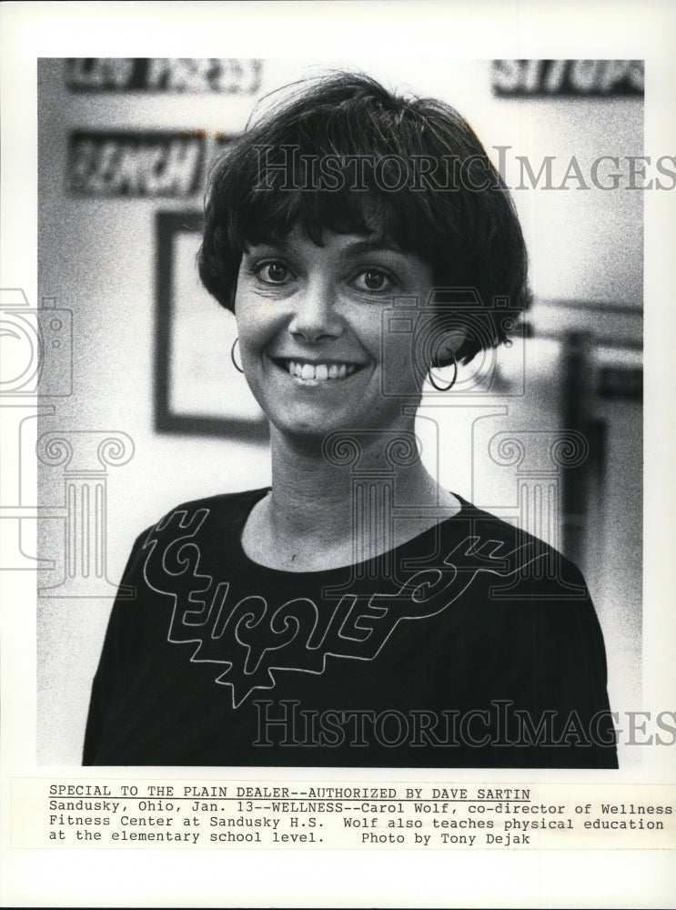 1992 Press Photo Carol Wolf- Historic Images