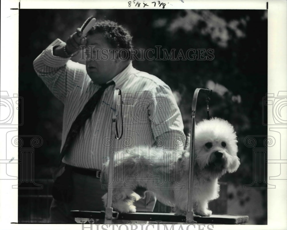 1991 Press Photo Owner-handler Cal Kossiver grooming Andos Ralph of Ed McDuff- Historic Images