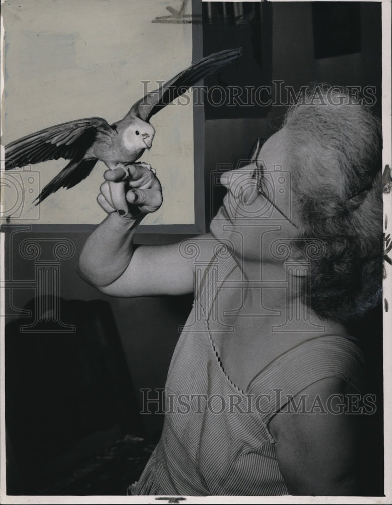 1949 Press Photo The cockatoo bird- Historic Images