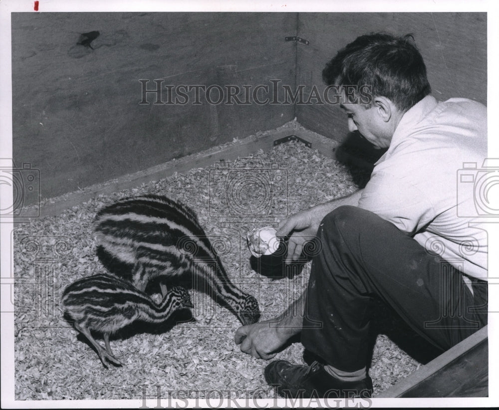 1970 Press Photo Joseph Nagy, Cleveland Zoo keeper- Historic Images