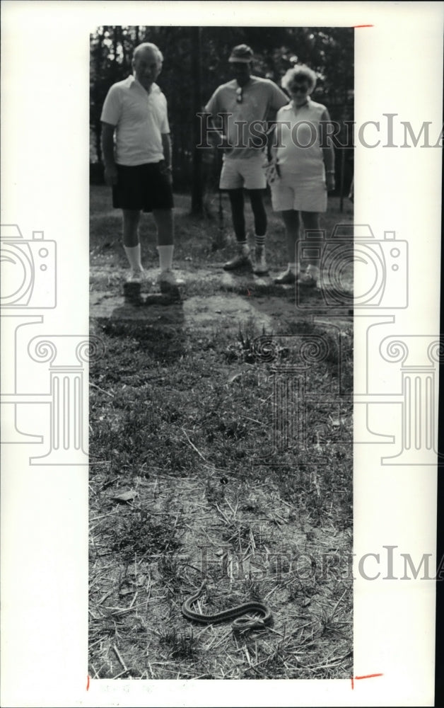 1991 Press Photo The snake with the campers- Historic Images