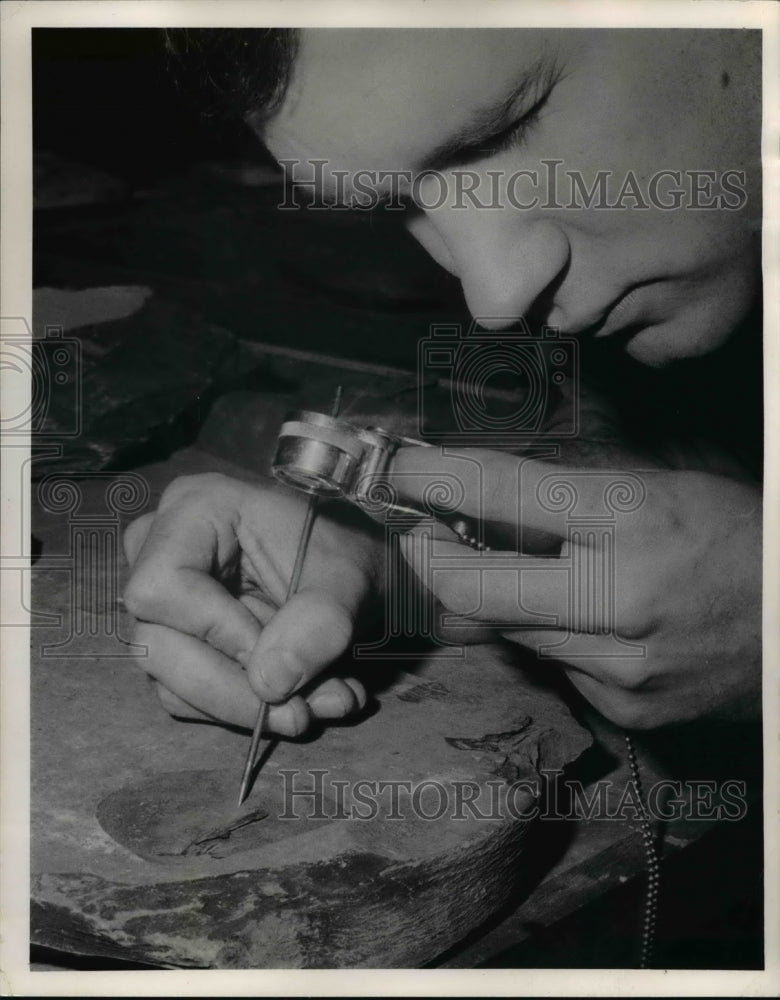 1965 Press Photo William J. Hlavib field Director of Natural Science Museums.- Historic Images