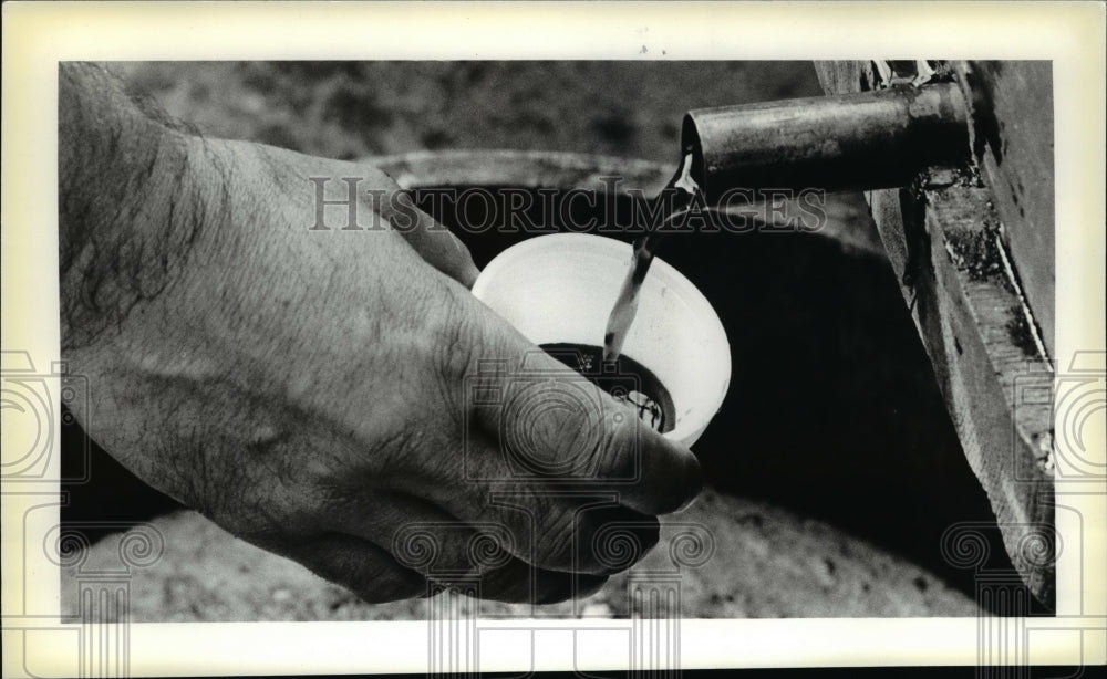 1979 Press Photo 100% pure grape juice at Grape Festival in Geneva- Historic Images