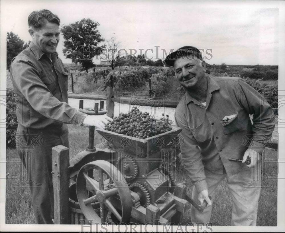 1972 Press Photo Grape Harvest Festival, Geneva, O