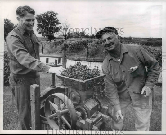 1972 Press Photo Grape Harvest Festival, Geneva, O