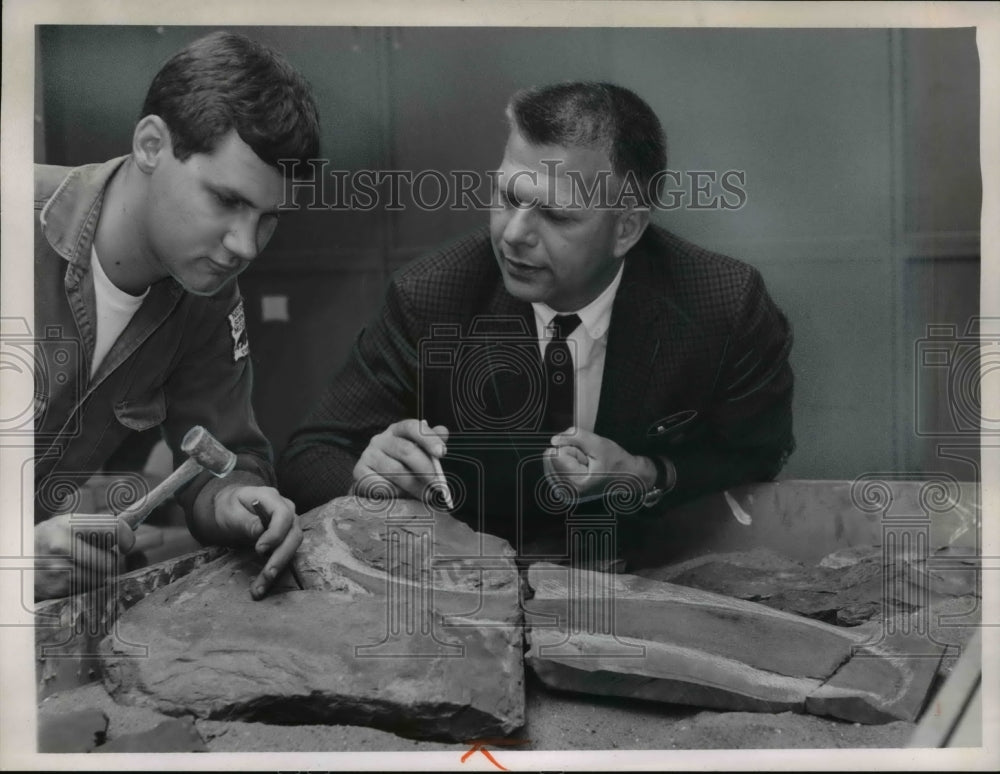 1965 Press Photo Natural Science Museum- Historic Images