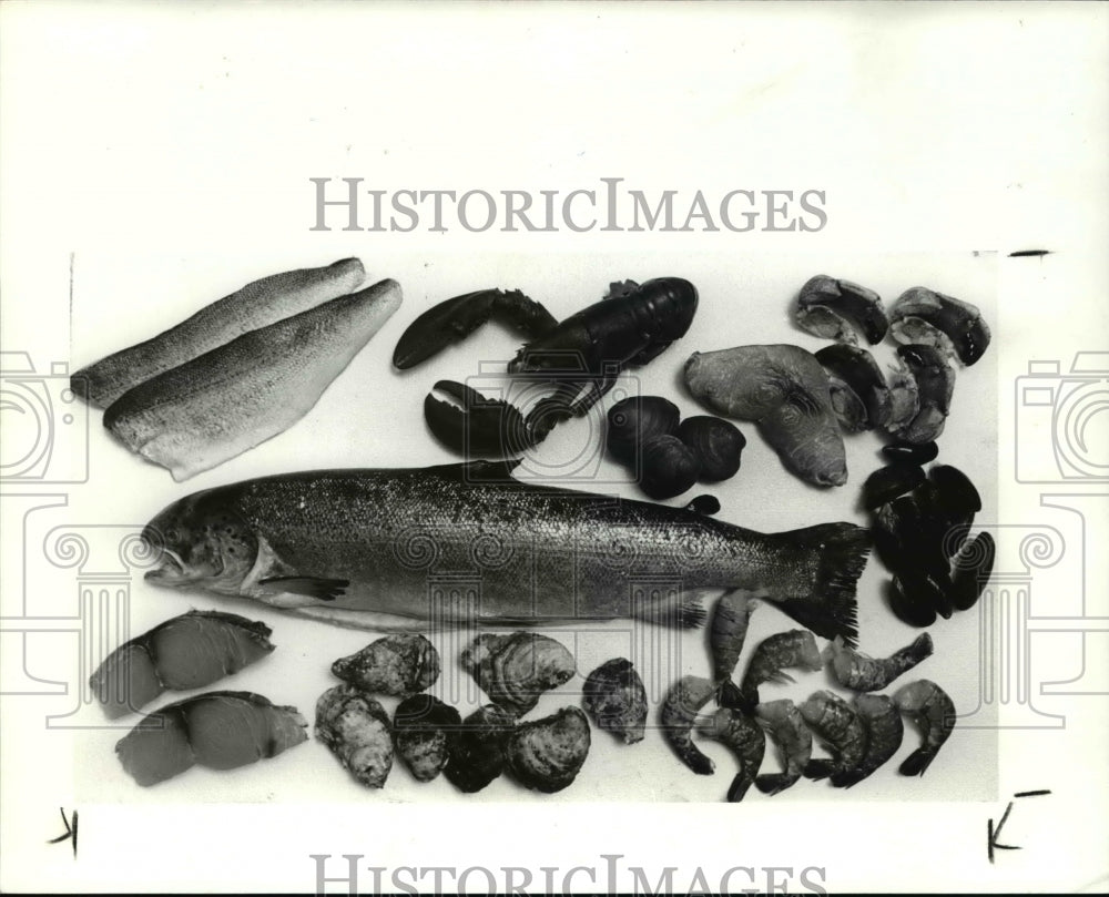 1992 Press Photo Different Kind of Fish- Historic Images