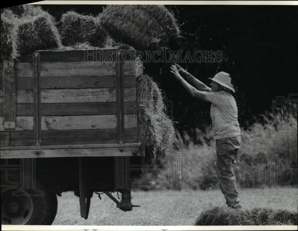 1991 Press Photo Jeannette Lepine tosses a hay bale atop wagon on family farm- Historic Images