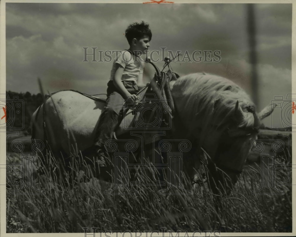 1967 Press Photo Little boy Grubu rides his horse at the Bainsford Pennsylvania- Historic Images