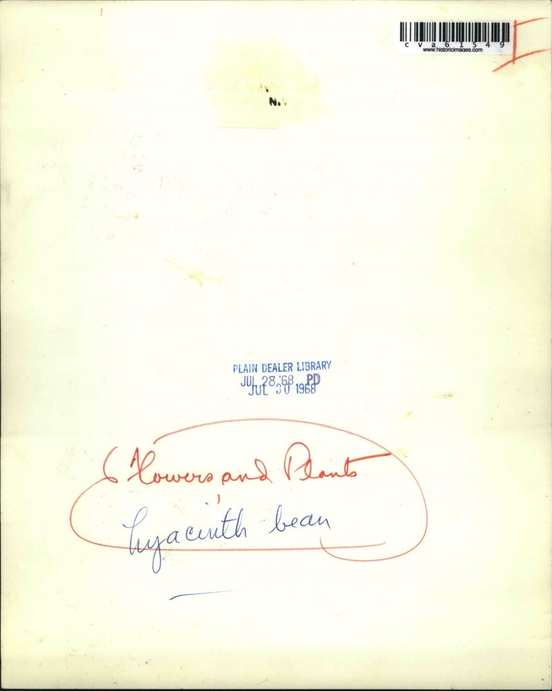 1968 Press Photo Flowers & Plants