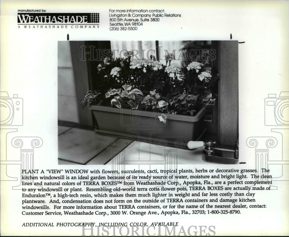 1990 Press Photo The plant window box wit flowers and cacti and decorative grass- Historic Images