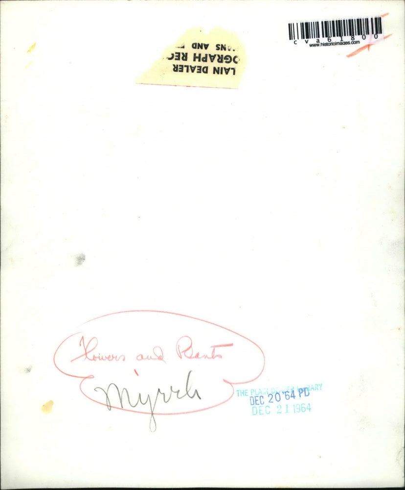 1964 Press Photo The mallow plant with flower