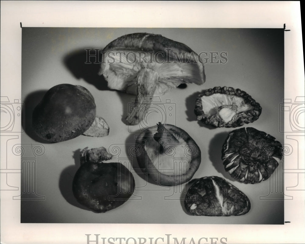 1991 Press Photo Shittake mushrooms, fresh and dried- Historic Images