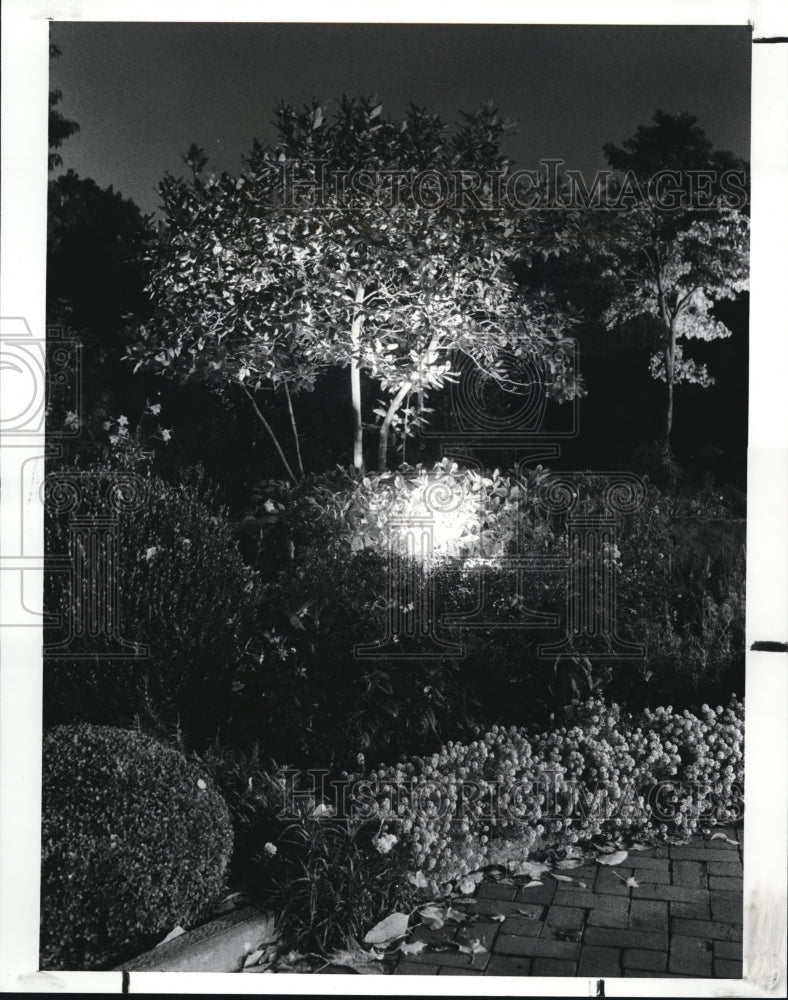 1987 Press Photo Garden Center of Greater Cleveland Night Lighting in Garden- Historic Images