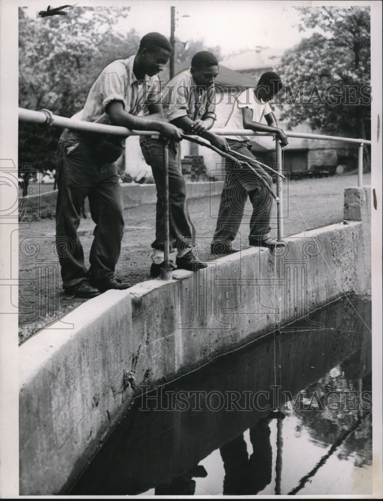 1953 Press Photo Hudson Boys Farm - cva73047- Historic Images