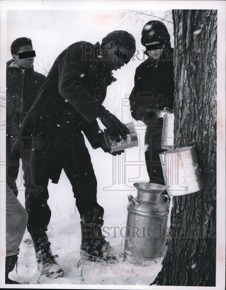 1968 Press Photo Collecting of maple sugar sap by the Hudson Boy School inmates- Historic Images