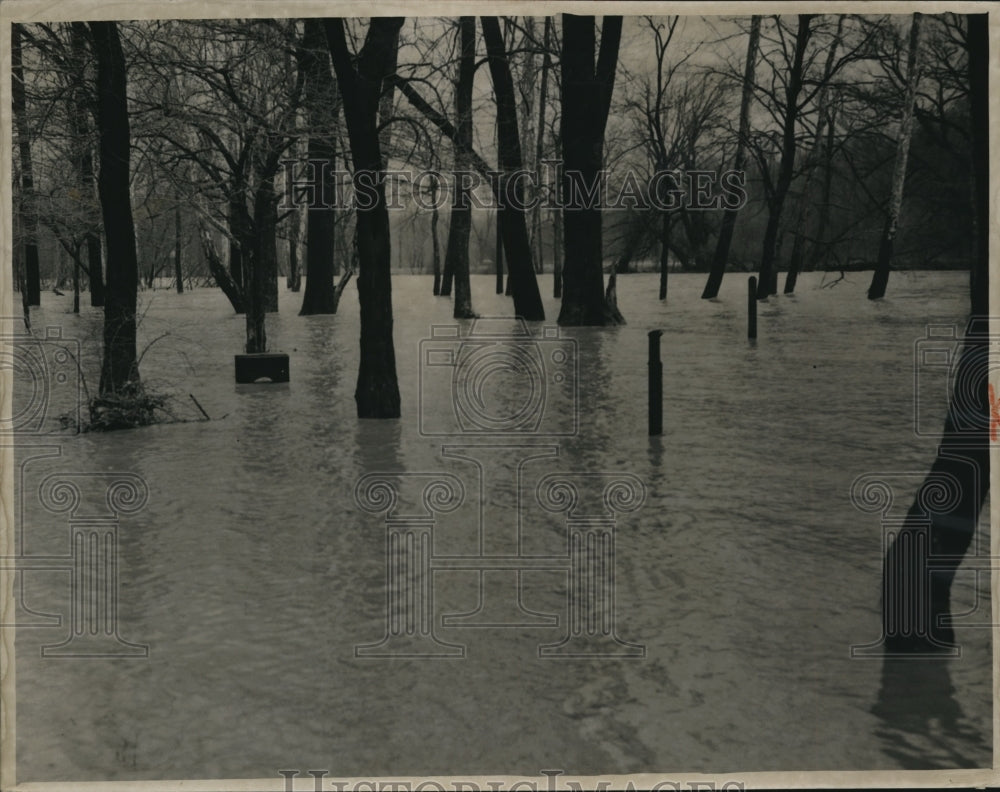 1950 Press Photo Mastick Rd picnic ground of the Rocky River Mat Park underwater- Historic Images