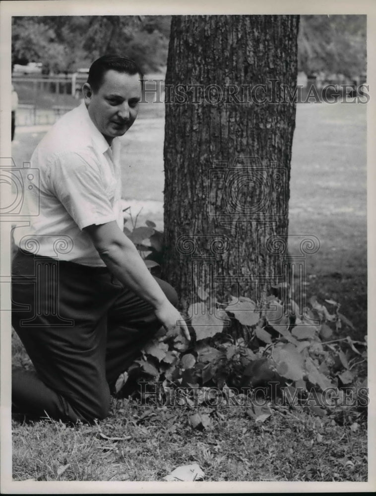 1963 Press Photo Tom Kluska points where he found girl after attack in Sowinski - Historic Images