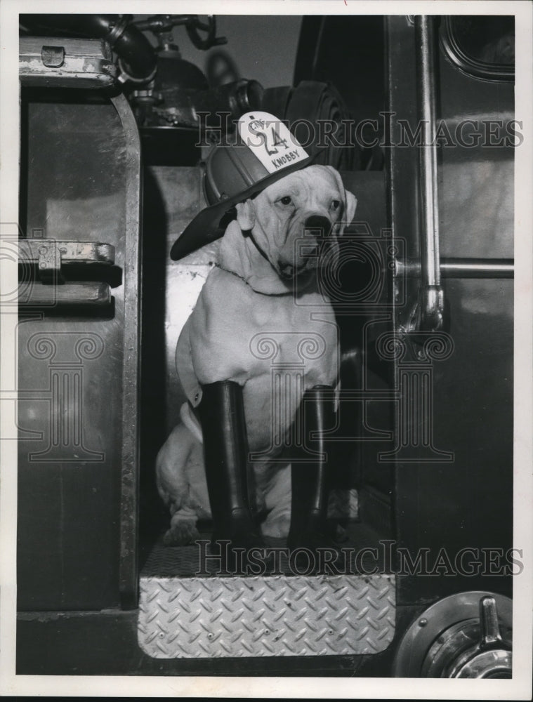 1968 Press Photo Dog at Fire Station- Historic Images