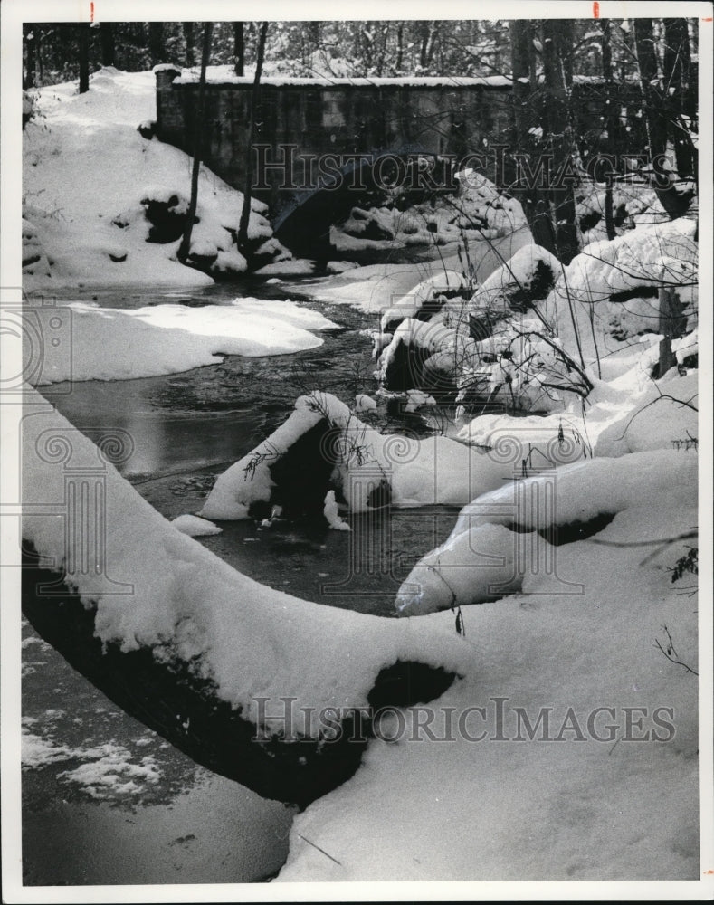 1976 Press Photo Winters only beauty seen at Olmsted Falls Park Rocky River- Historic Images