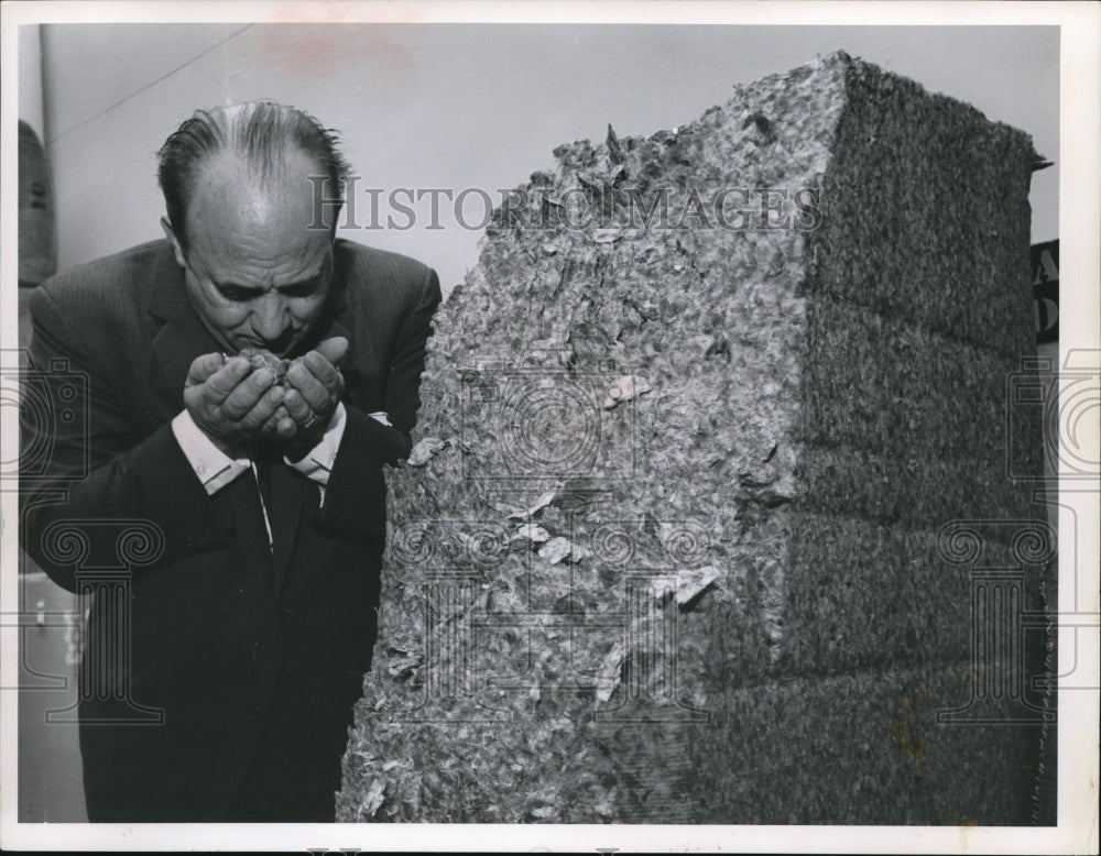 1965 Press Photo Anthony L. Bancule brewmaster checks hops - Historic Images