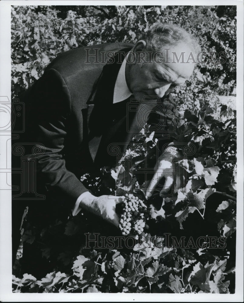 1937 Press Photo Brother Timothy, Christian Brothers cellarmaster - Historic Images