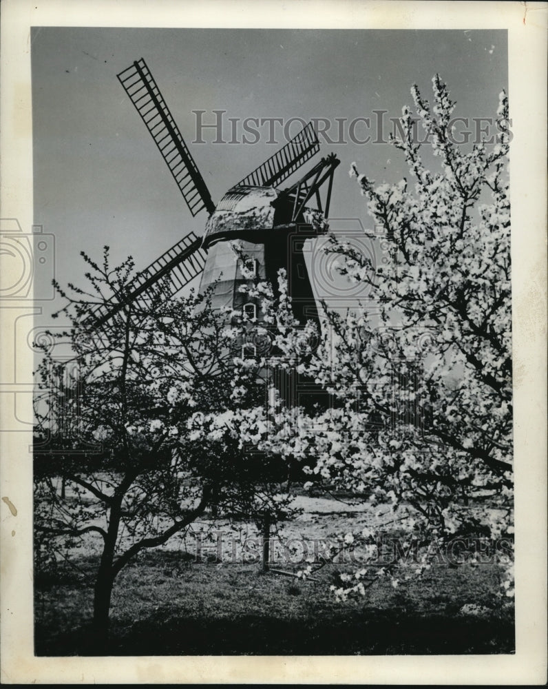 1962 Press Photo The Windmill - Historic Images