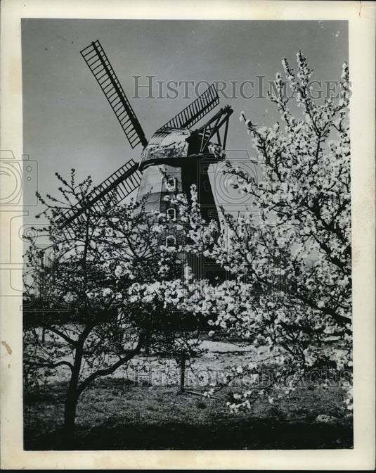 1962 Press Photo The Windmill - Historic Images