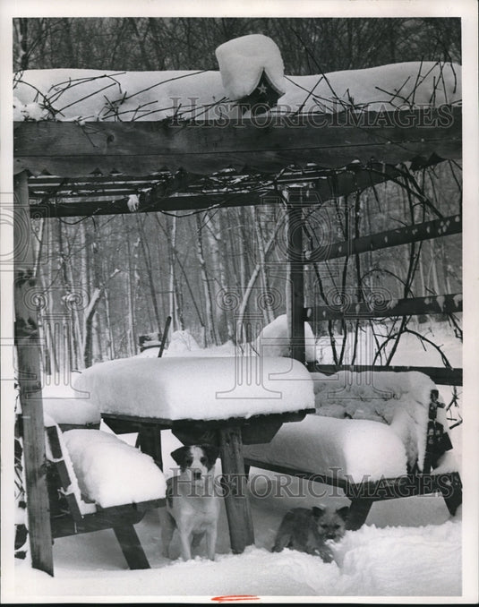 1965 Press Photo Snow covered the picnic area at Chesterland- Historic Images