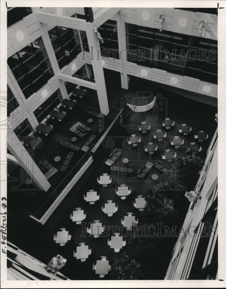 1991 Press Photo Ferguson Plaza Private Atrium- Historic Images