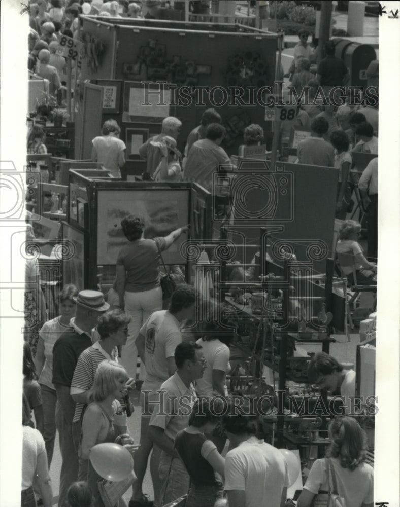 1982 Press Photo The 1981 Lakewood Arts Festival- Historic Images