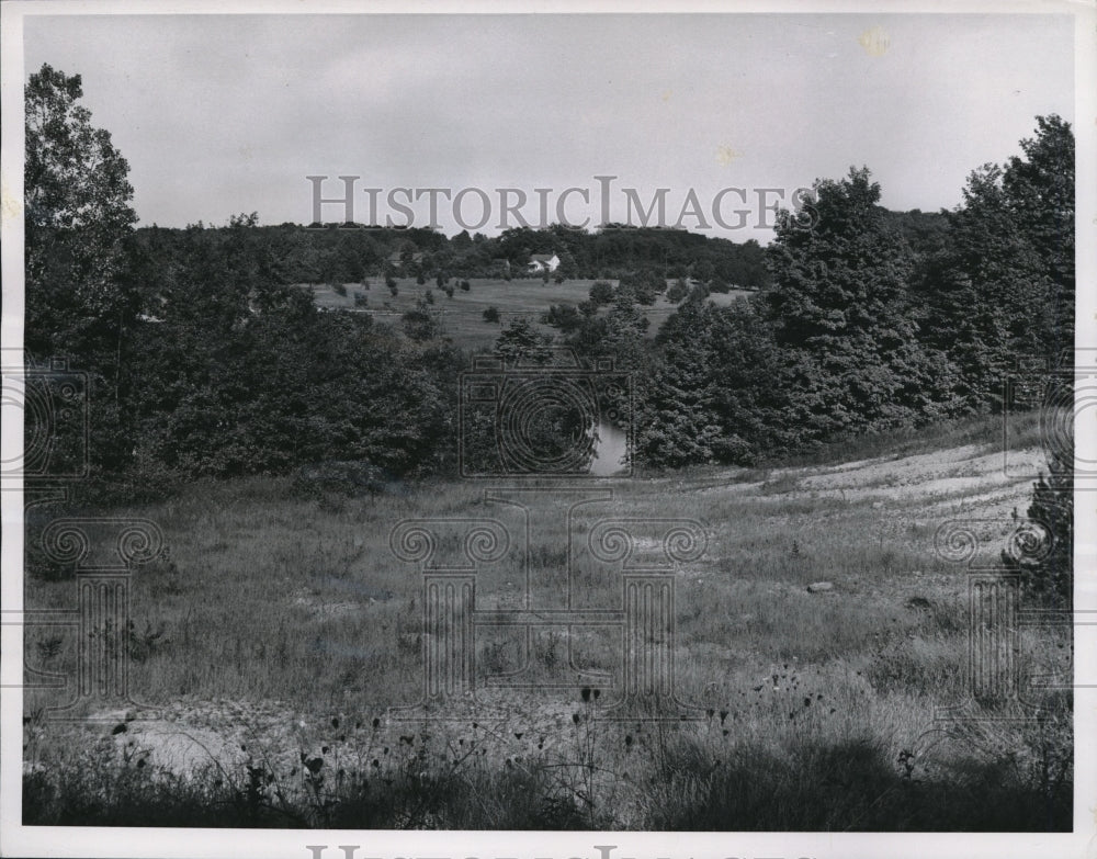 1952 Press Photo The Holden Arboretum- Historic Images