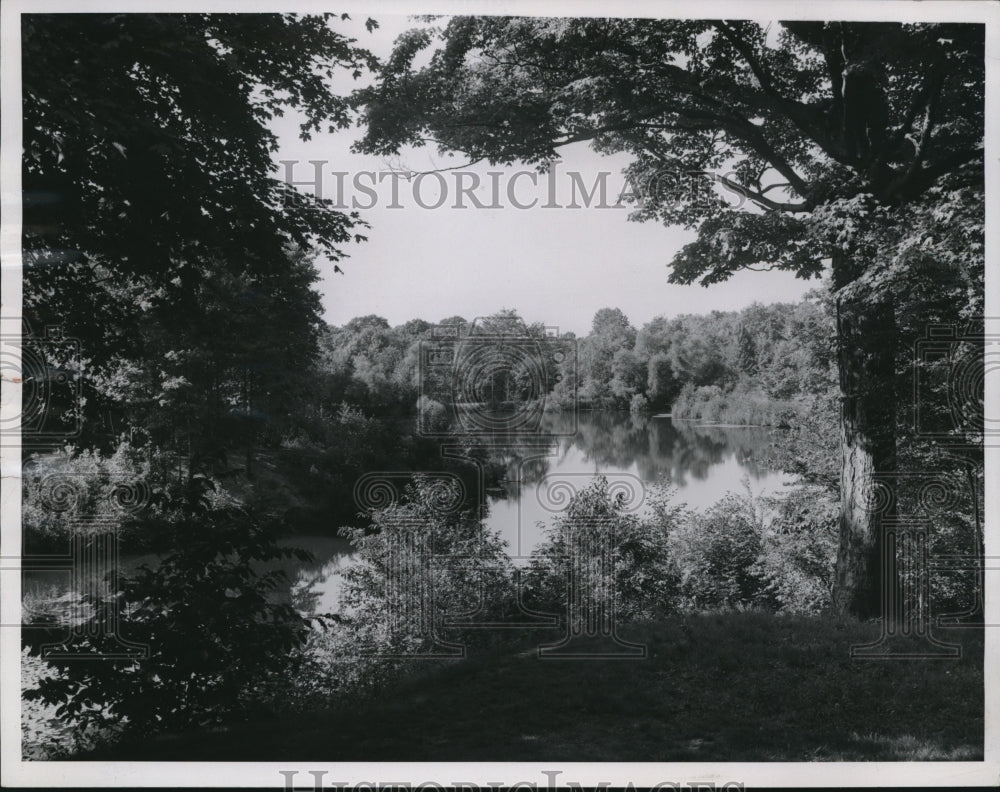 1952 Press Photo Forter Pond in North at Holden Arboretum- Historic Images