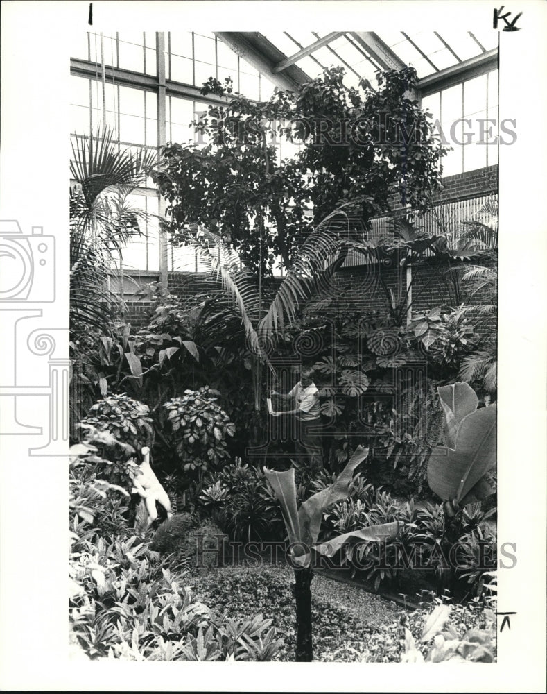 1985 Press Photo Ernest Di Fonso at the City Life Cleveland Greenhouse - Historic Images