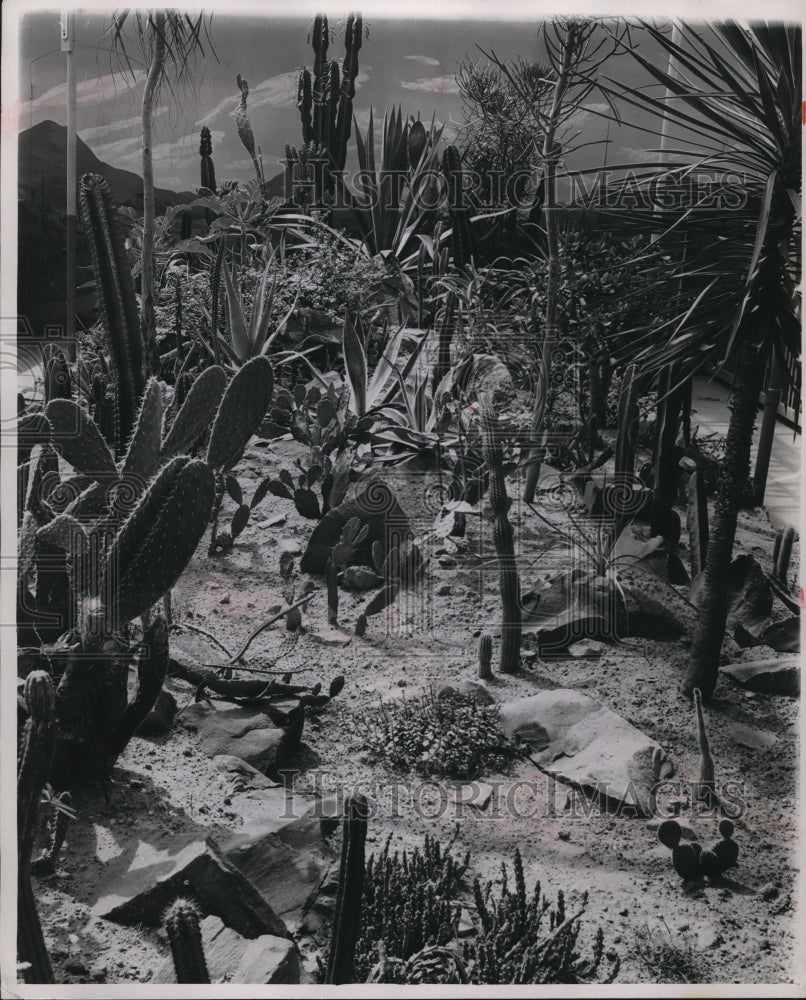 1946 Press Photo Desert Garden at Gordon Park Greenhouse- Historic Images