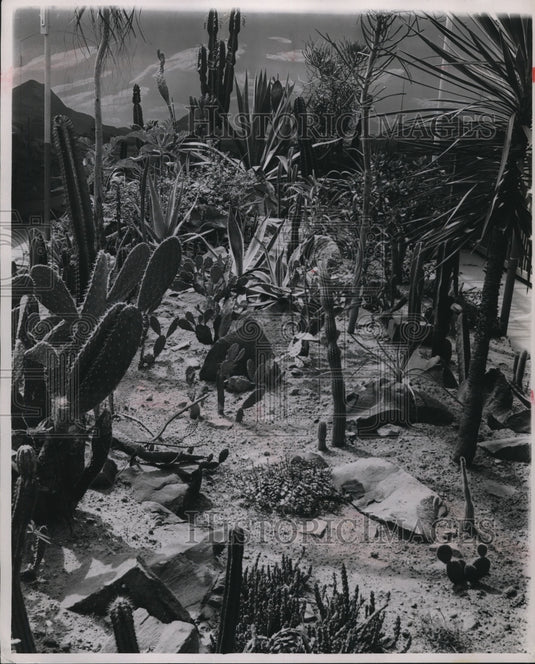 1946 Press Photo Desert Garden at Gordon Park Greenhouse- Historic Images