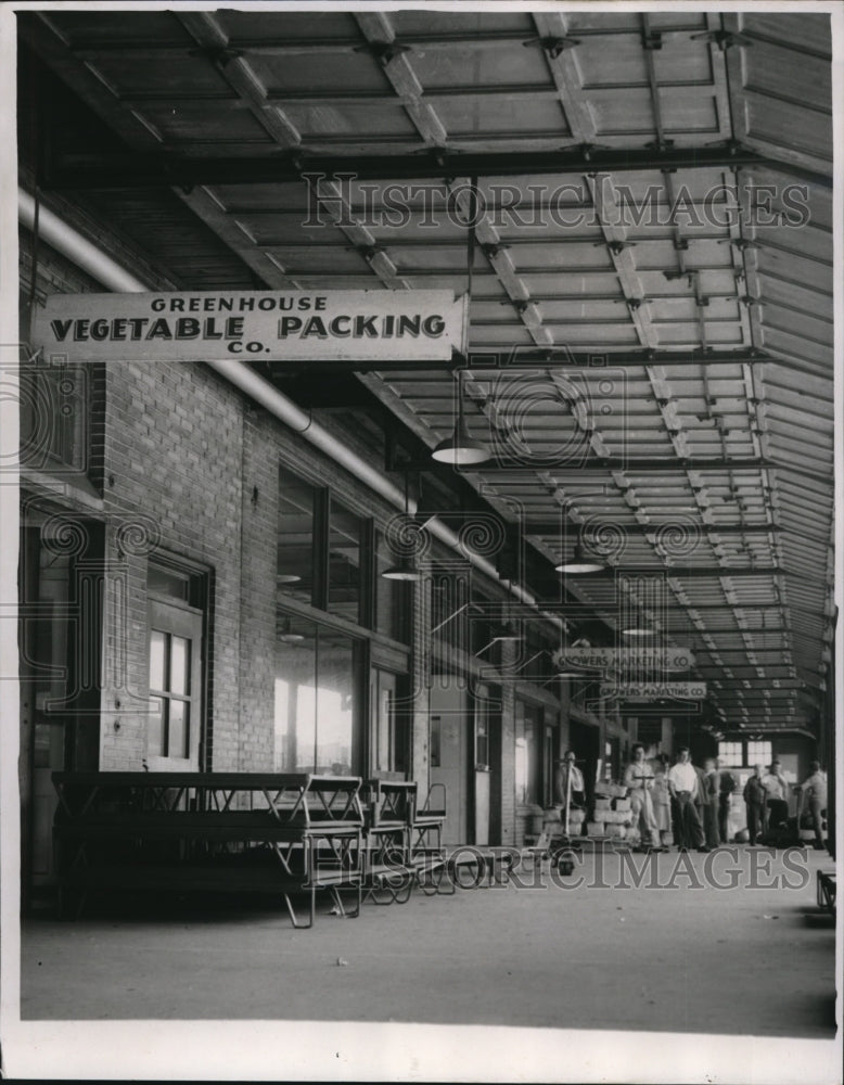 1951 Press Photo The Greenhouse Vegetable Packing Company- Historic Images